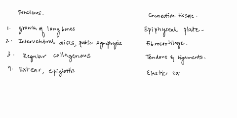 match-the-function-or-location-to-the-correct-connective-tissue-allows-the-growth-of-long-bones-click-to-selec-intervertebral-discspubic-symphysis-dense-regular-collagenous-connective-tissue-66338