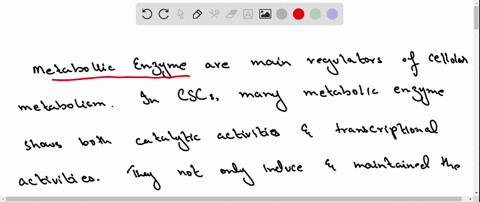 infer-which-enzyme-is-more-active-in-a-human-cell-why-cant-copy-the-graph-66565