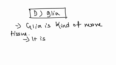 which-ofthe-followingis-nct-nective-tissue-adipose-bone-glia-blood-rtlage-72971