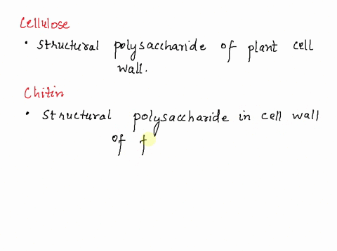 where-in-nature-do-we-find-cellulose-where-do-we-find-chitin-in-what-ways-are-these-two-polymers-sim-20695