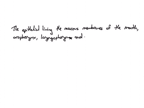 the-epithelium-lining-the-mucous-membranes-of-the-mouth-oropharynx-laryngopharynx-and-esophagus-is-question-16-options-simple-squamous-stratified-cuboidal-simple-columnar-stratified-squamous-stratifie