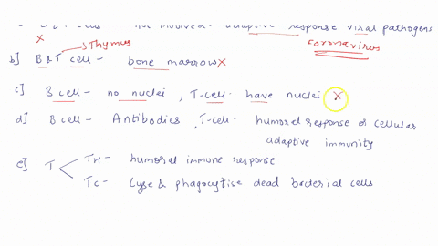 comparing-b-and-t-lymphocytes-th-helper-t-lymphocytes-tc-cytotoxic-t-lymphocytes-select-one-a-both-t-lymphocytes-and-b-lymphocytes-are-not-involved-in-the-adaptive-immune-response-to-viral-p-84261