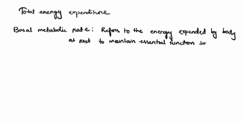 the-three-components-of-total-energy-expenditure-are-93667