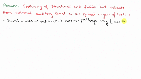 sound-waves-enter-the-external-auditory-canal-and-cause-vibrations-in-structures-and-fluids-of-the-ear-identify-in-order-the-structures-and-fluids-that-vibrate-in-the-pathway-from-the-extern-40271