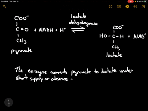 this-is-biochem-question-and-chapter-topic-is-about-glycolysis