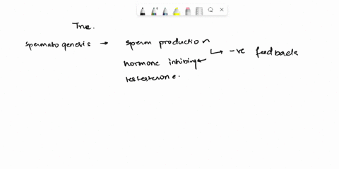 spermatogenesis-is-inhibited-by-a-negative-feedback-loop-involving-the-hormones-inhibin-and-testosterone-selectone-o-true-false-96559