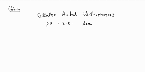 the-cellulose-acetate-electrophoresis-at-ph-86-of-serum-proteins-will-show-an-order-of-migration-beginning-with-the-fastest-migration-as-follows-19702