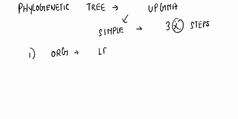 given-the-following-distances-matrix-obtain-a-phylogenetic-tree-using-upgma-please-show-your-work-step-by-step-a-b-c-d-e-a-b-9-c-2-11-d-4-12-4-e-5-13-5-3-2-given-the-following-4-sequences-ob-53188