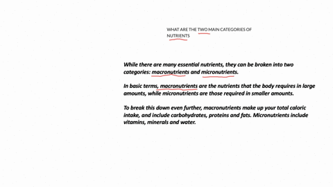 what-are-the-two-main-categories-of-nutrients