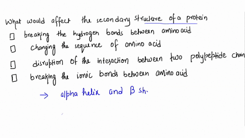 which-actions-would-affect-the-secondary-structure-of-protein-select-all-that-apply-breaking-the-hydrogen-bonds-between-amino-acids-changing-the-sequence-of-amino-acids-disruption-of-the-int-39628