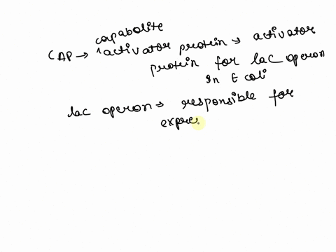 q510-suppose-there-is-a-mutation-in-an-e-coli-cell-that-causes-cap-the-activator-protein-for-the-lacoperon-to-be-unable-to-bind-to-its-activator-site-what-effect-would-this-have-on-the-cell-56682