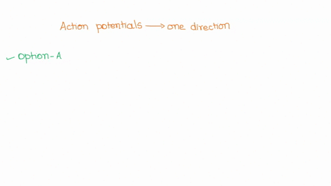 why-do-action-potentials-travel-in-one-direction-from-the-axon-hillock-to-the-axon-terminal-the-brief-refractory-period-of-voltage-gated-na-channels-prevents-them-from-rcopening-behind-the-a-94526