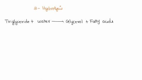 3-hydrolysis-reactions-can-occur-to-break-down-1-fat-molecule-into-its-glycerol-and-3-fatty-acid-components-the-functional-groups-are-linked-by-a-bond-called-ester-linkage-mason-goes-to-the-11513