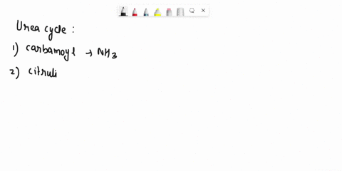 question-23-the-compounds-that-directy-deliver-nitrogen-into-the-urea-cycle-are-oa-glutamate-and-nh3-b-aspartate-and-nh3-cnha-and-glutamine-daspartate-and-carbamoyl-phosphate-e-none-of-the-a-31786