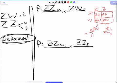 1 parthenogentic lizards maintain genetic diversity through...