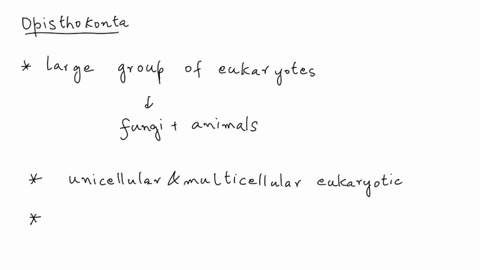 which-of-the-statements-about-the-opisthokonta-is-false-group-of-answer-choices-all-organisms-in-this-group-contain-functioning-mitochondria-humans-fit-into-this-group-complex-multicellular-71094