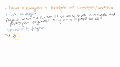 in-evolutionary-theory-homologous-traits-are-those-with-a-similar-structure-and-function-derived-fro-33398