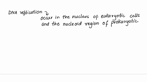when-does-dna-replication-happen-and-why-60802