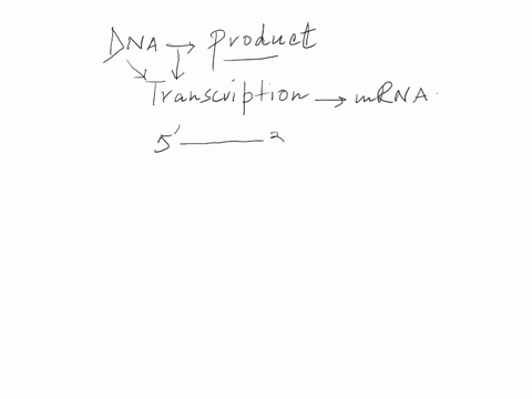 into-which-type-of-molecule-are-dna-sequences-transcribed-for-protein-synthesis-transfer-rna-messenger-rna-dna-ligase-dna-polymerase-55489