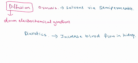 some-diuretics-drugs-that-increase-the-volume-of-urine-produced-act-by-inhibiting-the-reabsorption-of-sodium-in-various-parts-of-the-nephron-and-thus-reduce-blood-pressure-use-your-knowledge-92609
