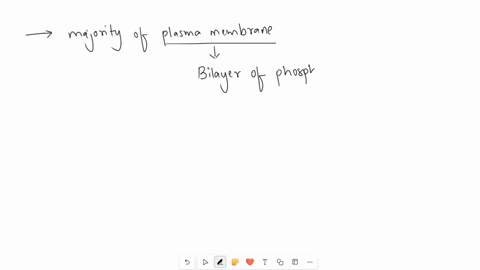 what-forms-the-majority-of-the-plasma-membrane-of-cells-84444