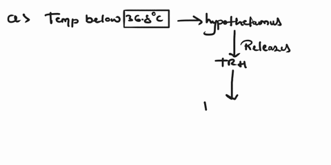 now-diagram-the-flow-of-events-leading-to-the-release-of-cortisol-and-t3t4-respectively-when-body-temperature-drops-below-368-degree-celsius-or-b-when-an-event-triggers-the-long-term-stress-42737