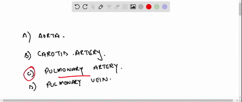 question-8-in-which-of-the-following-vessels-would-blood-contain-the-highest-concentration-of-carbon-dioxide-aona-carotid-artery-pulmonary-artery-pulmonary-vein-14882