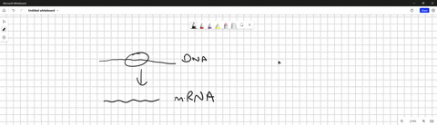 transcription-is-the-modification-of-a-strand-of-rna-prior-to-the-manufacture-of-a-protein-o-manufacture-of-two-new-dna-double-helices-that-are-identical-to-an-old-dna-double-helix-o-manufacture-of-a-