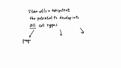 progenitor-cells-come-from-a-neuroblasts-b-stem-cells-c-glioblasts-d-glial-cells
