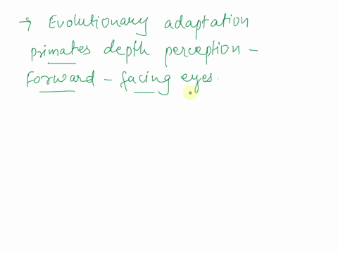 which-evolutionary-adaptation-provides-primates-with-depth-perception-a-color-vision-b-forward-facing-eyes-c-loss-of-the-rhinarium-wet-nose-d-smaller-olfactory-bulb-72854