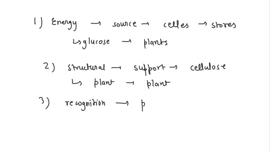 SOLVED: Seetion 5.3 The many functions of carbohydrates Carbohydrates ...