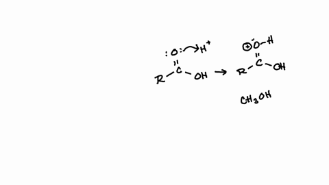 which-of-the-following-intermediates-are-not-involved-in-the-acid-catalyzed-esterification-reaction-of-a-carboxylic-acid-re_coh-oh-r_c_oh-h__-oh-oh-och3-r-och3-all-of-the-above-are-intermedi-53463