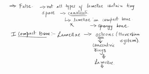 please-let-me-know-the-correct-answers-lamellae-are-rings-of-extracellular-matrix-in-compact-and-spongy-bone-these-rings-are-composed-mostly-of-extracellular-matrix-osteons-are-only-found-in-13646