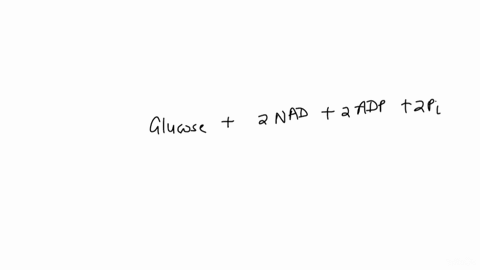 question-56-2-points-listen-when-one-glucose-molecule-undergoes-glycolysis-it-generates-6-atp-and-2-nadh-2-atp-and-4-nadh-6-atp-2-atp-and-2-nadh-12-atp-question-57-2-points-listen-in-order-t-44907