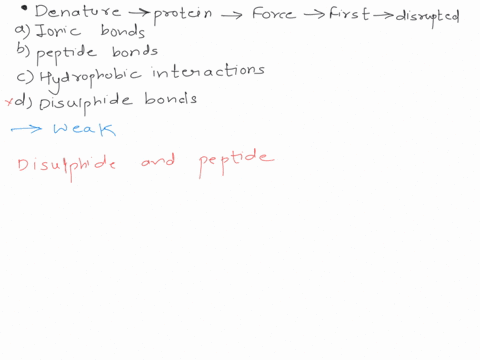 when-using-heat-to-denature-a-protein-which-force-is-the-first-to-be-disrupted-as-temperature-increases-aionic-bonds-bpeptide-bonds-chydrophobic-interactions-ddisulfide-bonds-59999