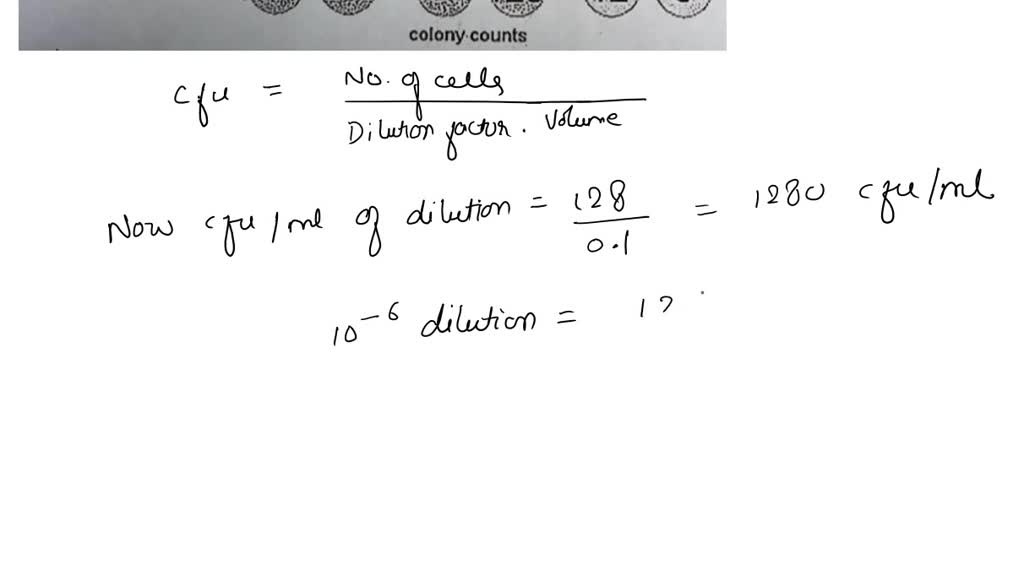 SOLVED: Determine the number of bacterial cells per ml in the original ...