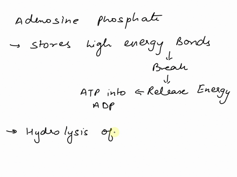 which-statement-is-true-regarding-the-adenosine-phosphate-molecules-metabolic-energy-is-stored-in-the-phosphoanhydride-bond-added-to-adenosine-diphosphateforming-adenosine-triphosphate-atp-h-67952