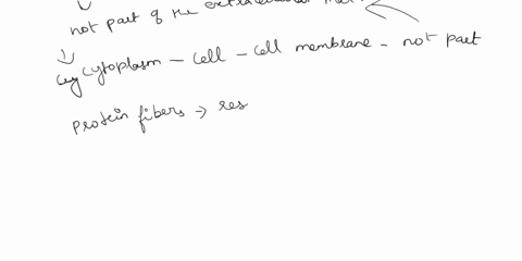 what-is-the-extracellular-matrix-of-connective-tissue-composed-of-select-all-that-apply-aprotein-fibers-bconnective-tissue-cells-cepithelial-tissue-cells-dground-substance-ecytoplasm-61354