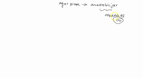 which-of-the-following-organisms-will-grow-on-agar-plates-incubated-in-an-anaerobe-jar-check-ail-that-apply-obligate-aerobe-obligate-anaerobe-facultative-anaerobe-aerotolerant-anaerobe-83392
