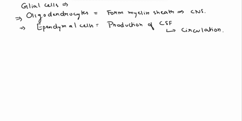 place-the-following-labels-in-the-proper-position-to-designate-the-appropriate-glial-cells-support-cells-in-the-pns-that-surround-neuronal-cell-bodies-oligodendrocytes-multi-functioning-cell-99608