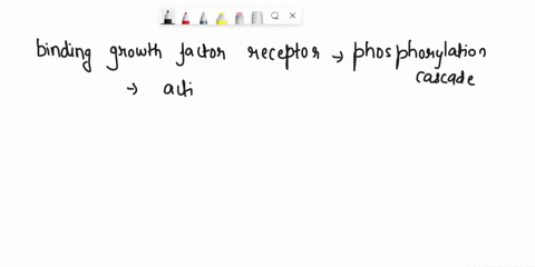 which-of-the-following-sequences-is-correcta-binding-of-a-signaling-molecule-to-its-receptor-g-protein-activation-phospholipase-c-activation-ip3-production-increase-in-cytoplasmic-calcium-co-67843