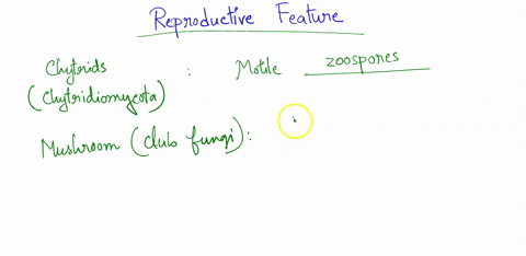 fill-in-the-blank-with-the-reproductive-feature-chytrids-motile-_____________-with-flagella-mushroom-club-fungi-sexual-spores-are-produced-on-club-shaped-structures-called-_______-ascomycota-35463