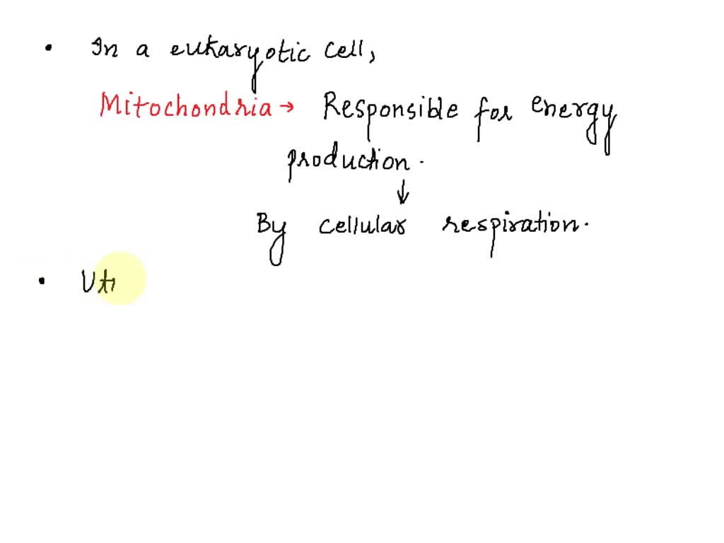 SOLVED In a eukaryotic cell, what organelle , whose dysfunction may
