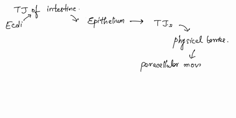 hypothesize-what-might-occur-if-a-pathogenic-disease-causing-bacteria-like-e-coli-were-able-to-degrade-or-disrupt-tight-junctions-in-the-intestines-how-would-the-bacteria-benefit-from-this-p-21396