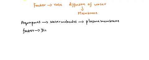 some-cells-express-aquaporin-proteinsthey-are-channel-proteins-that-facilitate-the-flow-of-water-molecules-through-the-plasma-membrane-what-regulates-the-rate-and-direction-of-water-diffusio-28139