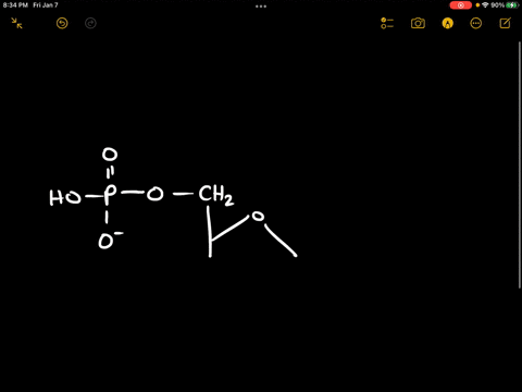 what-type-of-bond-exists-between-the-ribose-and-the-phosphate-in-amp-2-18273
