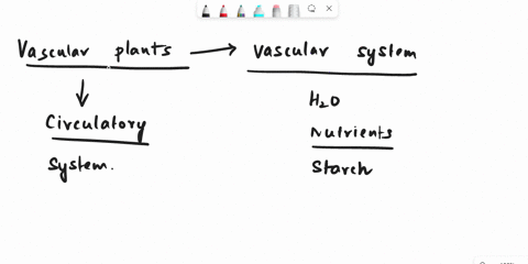in-vascular-plants-a-the-xylem-transports-solutes-throughout-the-plant-while-the-phloem-is-responsible-for-water-transport-b-vascular-tissue-is-only-found-in-the-flowers-c-water-loss-by-evap-58123