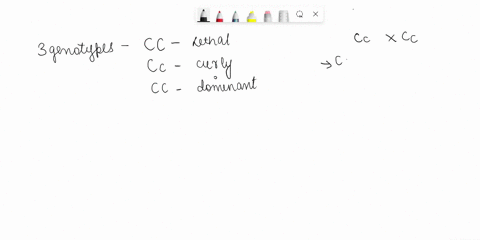 the-curly-mutation-in-drosophila-is-homozygous-lethal-and-produces-a-dominant-curly-winged-phenotype-which-of-the-following-statements-is-trueselect-all-that-apply-a-a-cross-between-two-flie-06476
