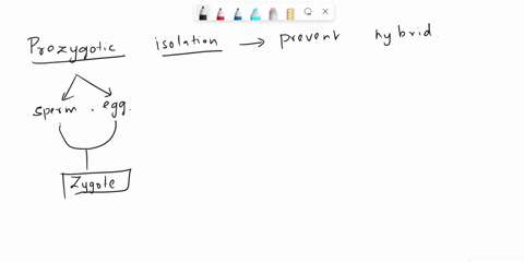 prezygotic-isolating-mechanisms-prevent-hybrid-offspring-from-occurring-between-species-because-a-the-resulting-offspring-are-not-fertile-and-cannot-reproduce-b-the-egg-and-sperm-fuse-and-fo-70638