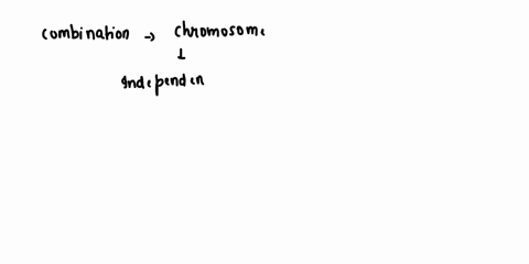 question-9-1-pts-which-of-the-following-describes-the-principle-of-independent-assortment-homologous-chromosomes-exchange-sections-of-their-dna-before-separating-two-alleles-for-different-ge-84668